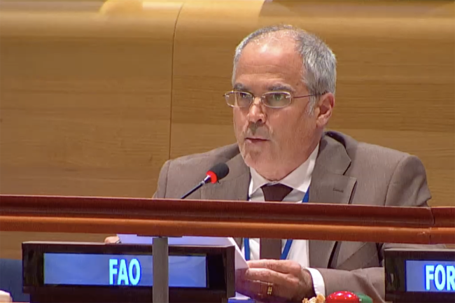 FAO - UNFF20 - 8May2025