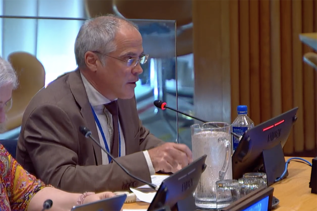 Fritjof Boerstler, FAO - UNFF20 - 7May2025