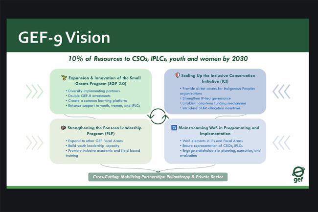 GEF-9 Vision - GFE CSO Consultations -29May2025