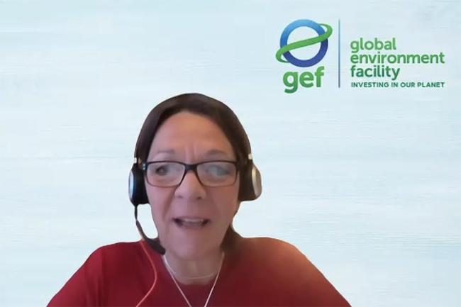Gabriella Richardson Temm, GEF Secretariat - GEF CSO Consultations -29May2025.jpg