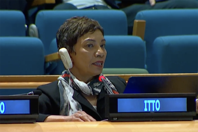 Sheam Satkuru, Executive Director, International Tropical Timber Organization (ITTO)