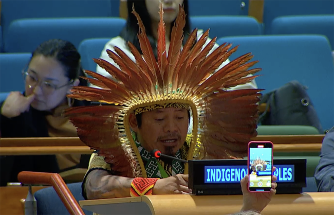 Indigenous Peoples - UNFF20 - 6May2025