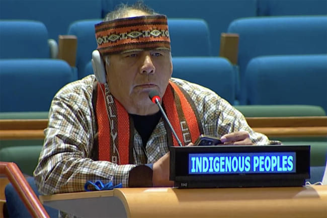 Indigenous Peoples - UNFF20 - 8May2025