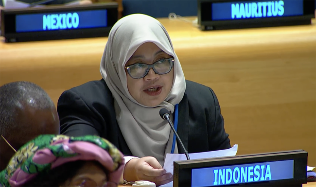 Indonesia - UNFF20 - 5May2025