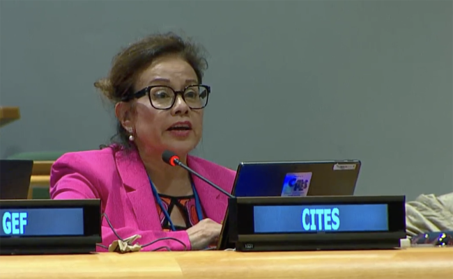 Ivonne Higuero, Secretary-General- UNFF20 - 5May2025