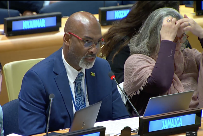 Jamaica - UNFF20 - 5May2025