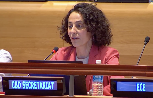 Jamal Annagylyjova, Convention on Biological Diversity Secretariat - UNFF20 - 6May2025