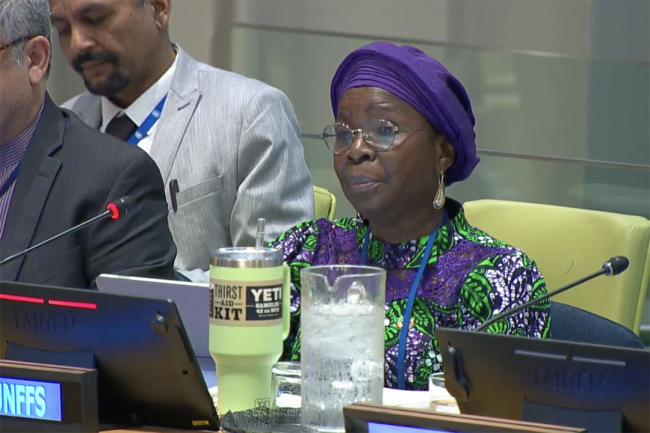 Juliette Biao, UNFF Secretariat Director - UNFF20 - 7May2025