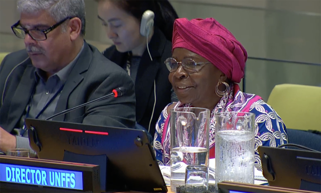 Juliette Biao, UNFF Secretariat Director - UNFF20 - 8May2025