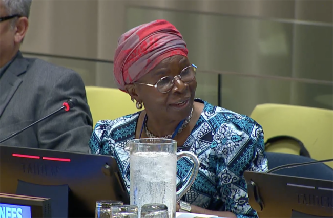 Juliette Biao, UNFF Secretariat Director - UNFF20 - 9May2025