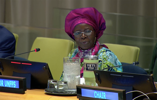 Juliette Biao, UNFF Secretariat Director - UNFF20 - 5May2025