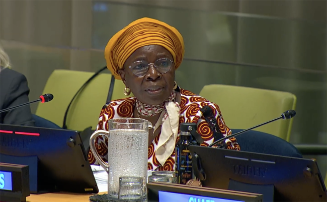 Juliette Biao, UNFF Secretariat Director - UNFF20 - 6May2025