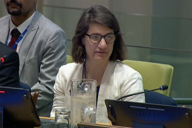 Katalin Solymosi,Senior Advisor International Forest Policy, European and International Forest Policy, Federal Ministry of Food and Agriculture, Germany - UNFF20 - 7May2025