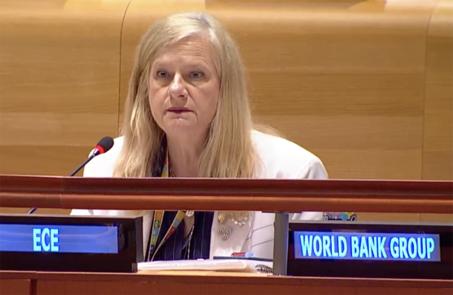Liliana Annovazzi-Jakab, Chief, UNECE Forests and Bioeconomy - UNFF20 - 5May2025