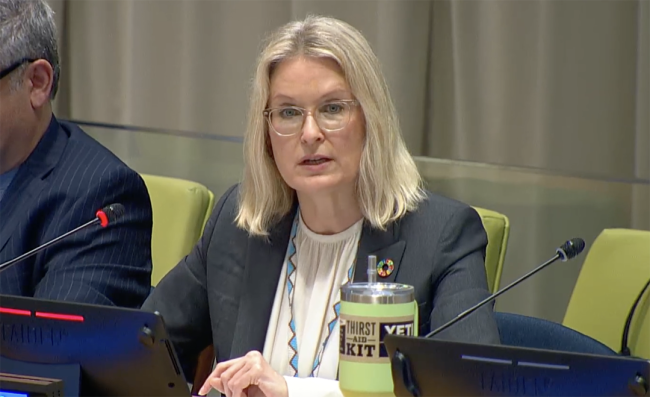 Lotta Tahtinen, Director, Office of Intergovernmental Support and Coordination (OISC), United Nations Department of Economic and Social Affairs (DESA) - UNFF20 - 6May2025