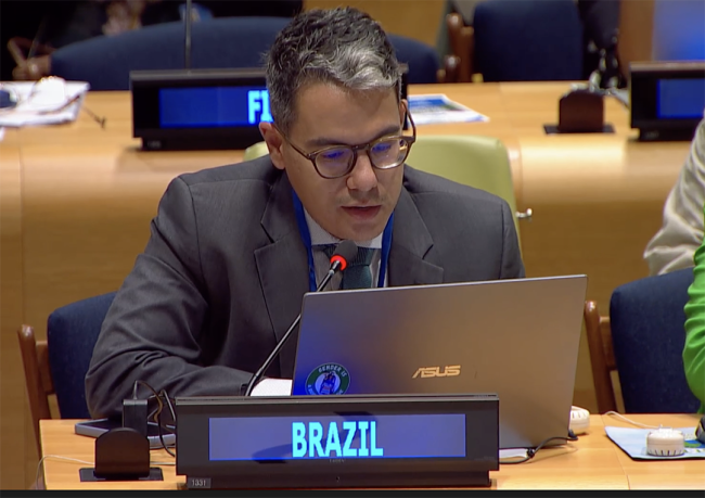 Luiz Eduardo Andrade de Souza, Brazil - UNFF20 - 6May2025
