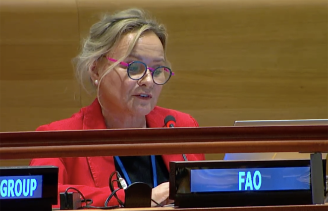Malgorzata Buszko-Briggs, Food and Agriculture Organization of the UN - UNFF20 - 6May2025