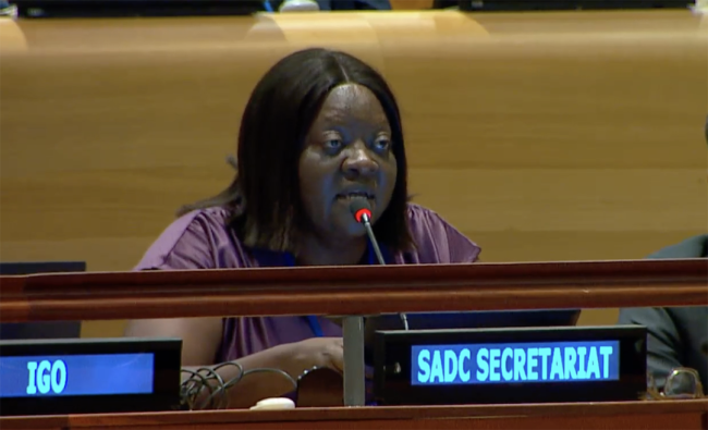 Ndpanda Kanime, Senior Programme Officer, Natural Resources and Wildlife, Southern African Development Community (SADC) - UNFF20 - 5May2025