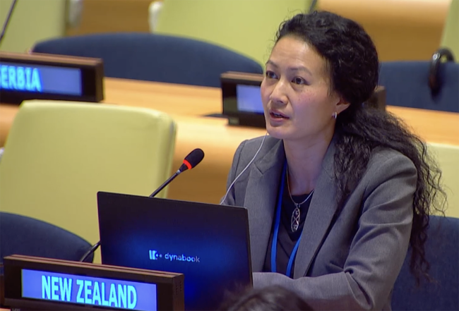 New Zealand - UNFF20 - 6May2025