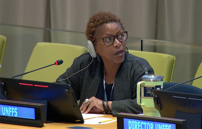 Njeri Kariuki, UNFF Secretariat - UNFF20 - 5May2025