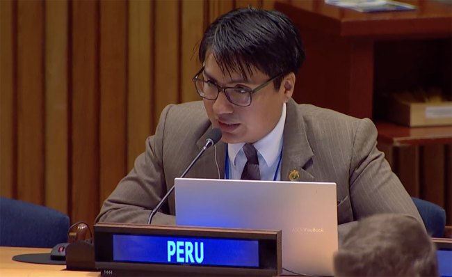 Peru - UNFF20 - 6May2025