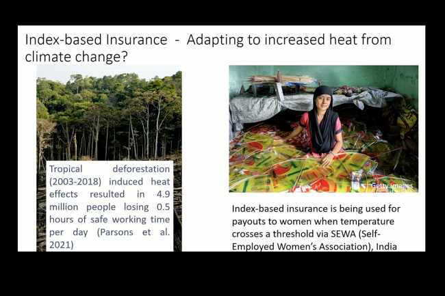 Priya Shyamsundar, Lead Economist, The Nature Conservancy - UNFF20 - 6May2025