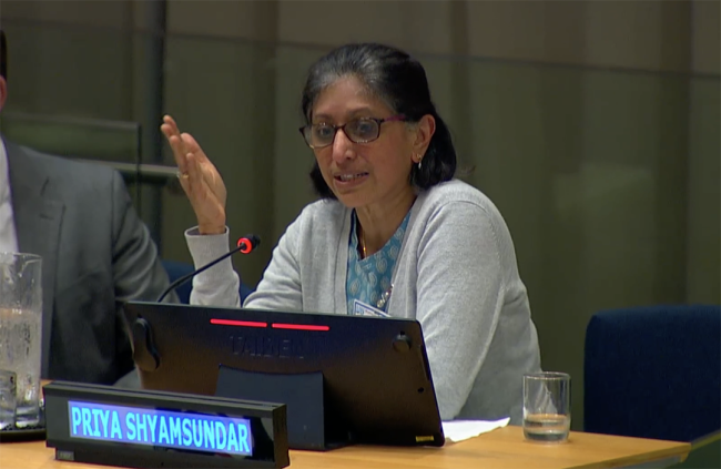 Priya Shyamsundar, The Nature Conservancy - UNFF20 - 6May2025