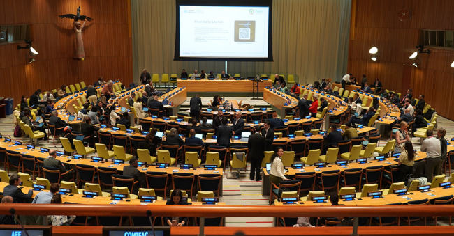 Room - UNFF20 - 7May2025