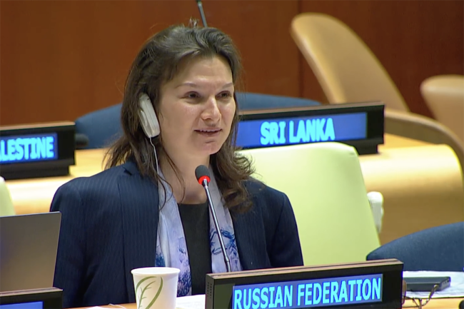 UNFF20 Vice Chair Maria Sokolenko (Russian Federation)