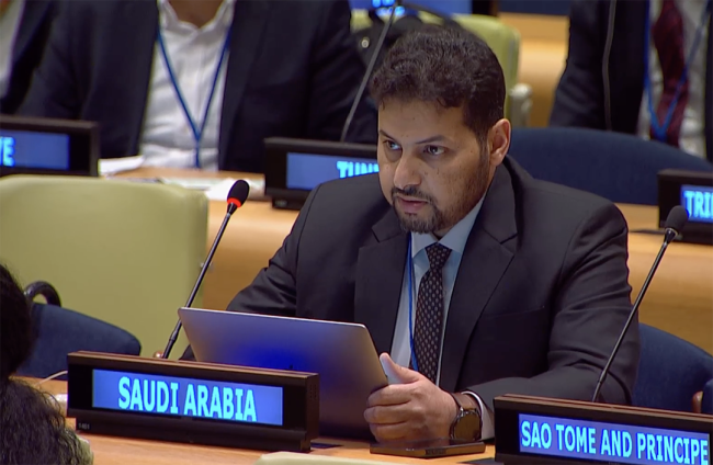 Saudi Arabia - UNFF20 - 7May2025