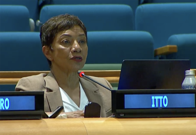 Sheam Satkuru, ITTO Executive Director- UNFF20 - 5May2025