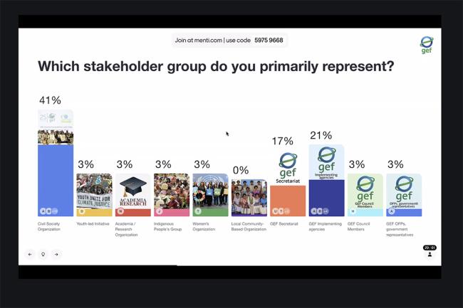 Stakeholder group - GEF CSO Consultations -29May2025