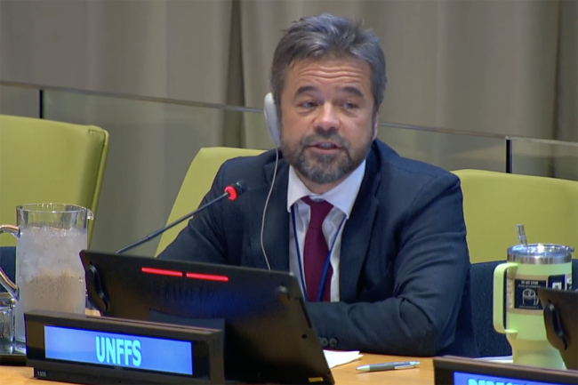 Tomasz Juszczak, UNFF Secretariat - UNFF20 - 5May2025