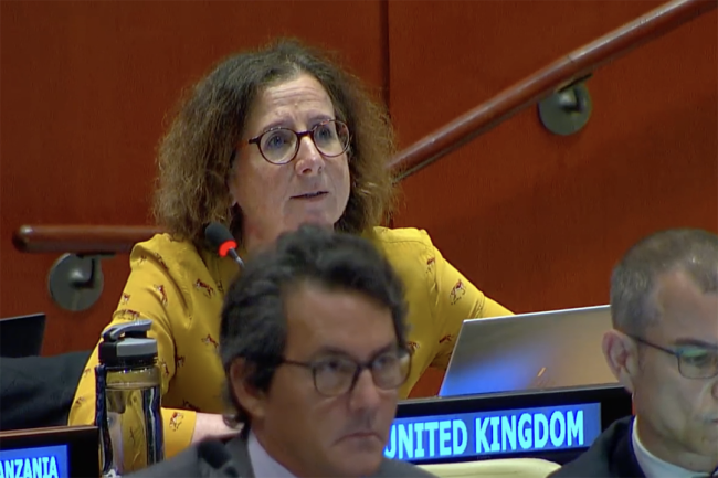 UK - UNFF20 - 7May2025
