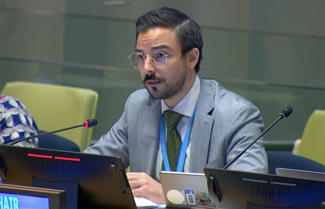 Vice Chair - UNFF20 - 8May2025