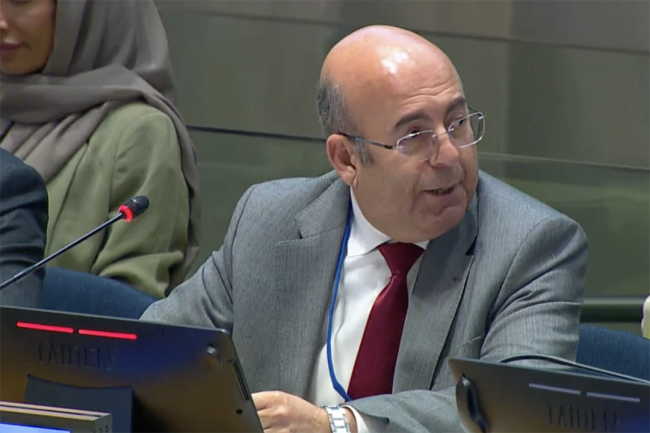 Vice Chair 1 - UNFF20 - 8May2025