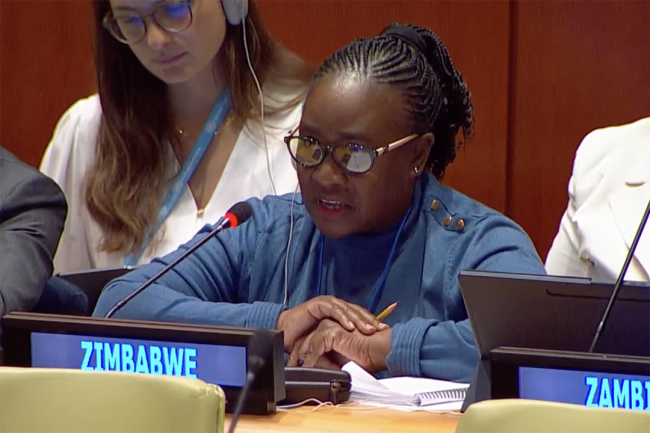 Zimbabwe - UNFF20 - 7May2025