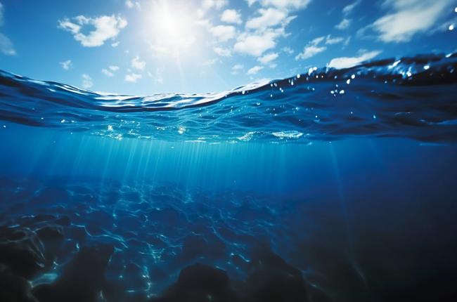 Ocean