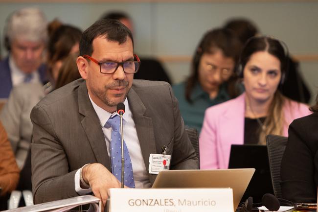 1 Mauricio Gonzales, Council Member, Peru- GEF69 - 2Jun2025