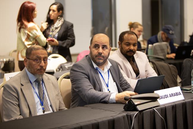 1 Delegates from Saudi Arabia - OEWG32 - 17Jun2025