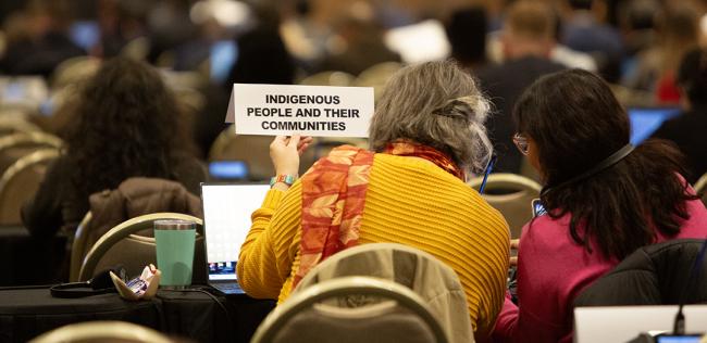 Indigenous People and their Communitues - OEWG32 - 15Jun2025