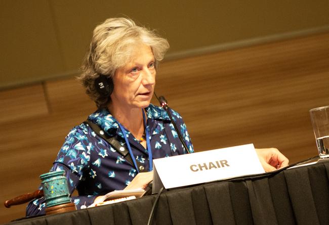 OEWG Chair Gudi Alkemade - OEWG32 - 17Jun2025