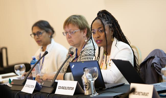 1 WG Chair - OEWG32 - 15Jun2025