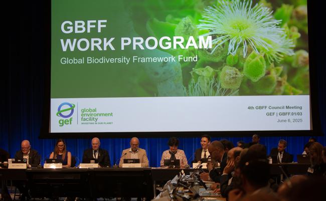 1 WP GBFF - GEF69 - 6Jun2025