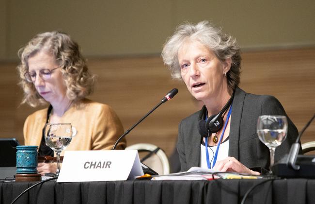 3 OEWG Chair Gudi Alkemade - OEWG32 - 15Jun2025
