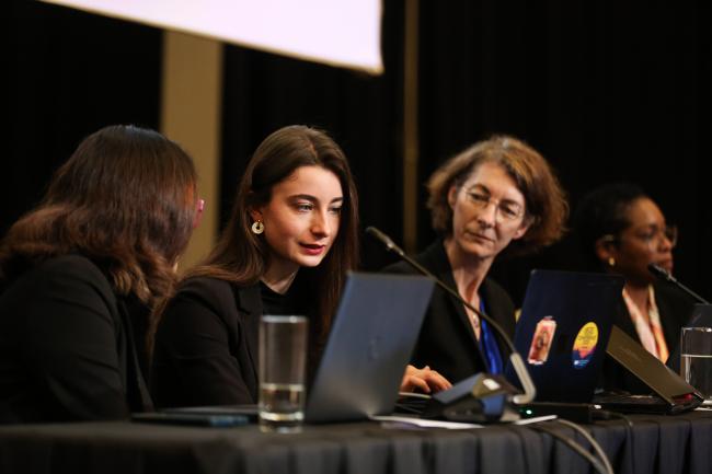 A Disclosure and Reporting Standards and Frameworks_OEWG1_26Jun25_photo.jpg