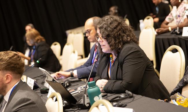 Ana Paula de Souza, Office of the United Nations High Commissioner for Human Rights (OHCHR) - OEWG32 - 20 Jun2025