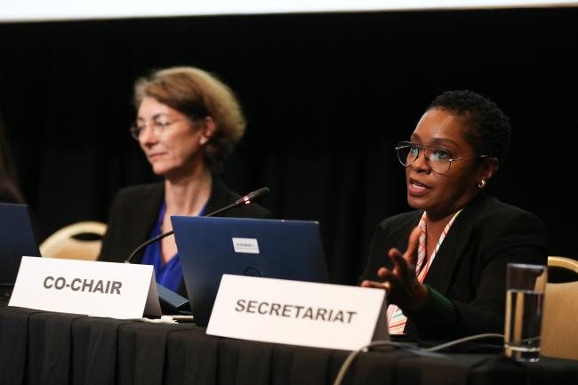 B Disclosure and Reporting Standards and Frameworks_OEWG1_26Jun25_photo.jpg