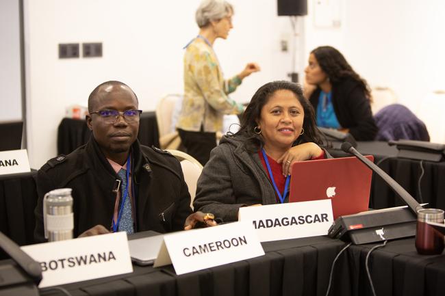 Cameroon, Madagascar - OEWG32 - 17Jun2025