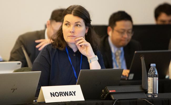 Christina Charlotte Tolfsen, Norway - OEWG32 - 16Jun2025